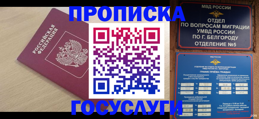 прописка законно в Касимове